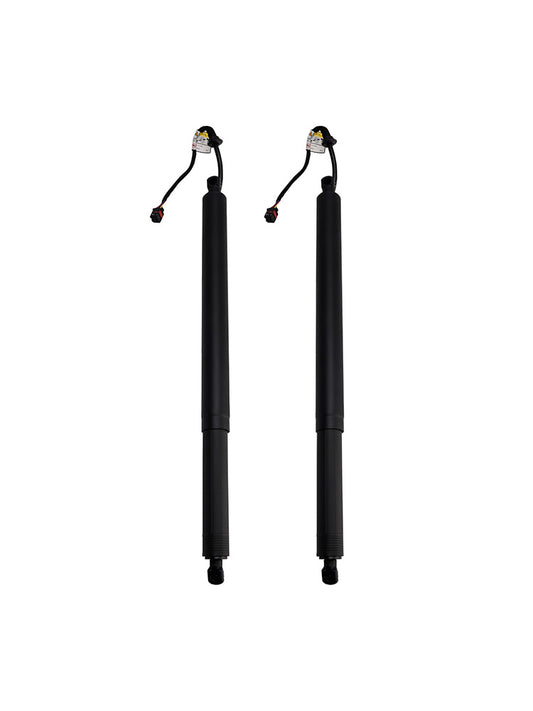 2PCS Rear Tailgate Power Lift Support 2019-2020 Hyundai Santa Fe 81831S1100