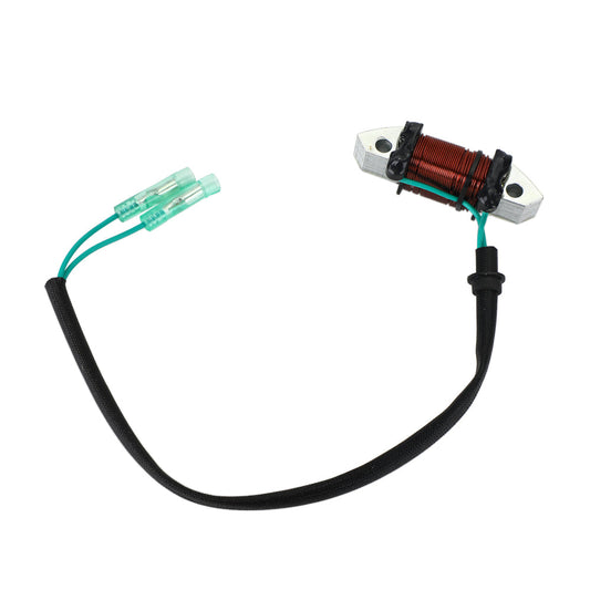 1993-2008/2010 Yamaha 25HP Lighting Coil Assy Outboard 61N-81313-09-00 Champoo