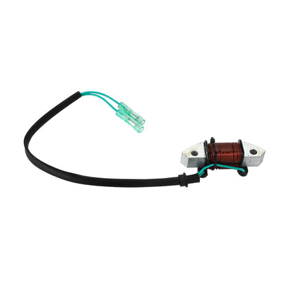1993-2008/2010 Yamaha 25HP Lighting Coil Assy Outboard 61N-81313-09-00 Champoo