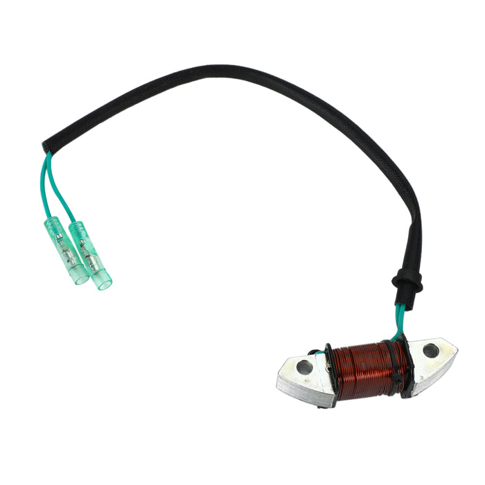 1993-2008/2010 Yamaha 25HP Lighting Coil Assy Outboard 61N-81313-09-00 Champoo