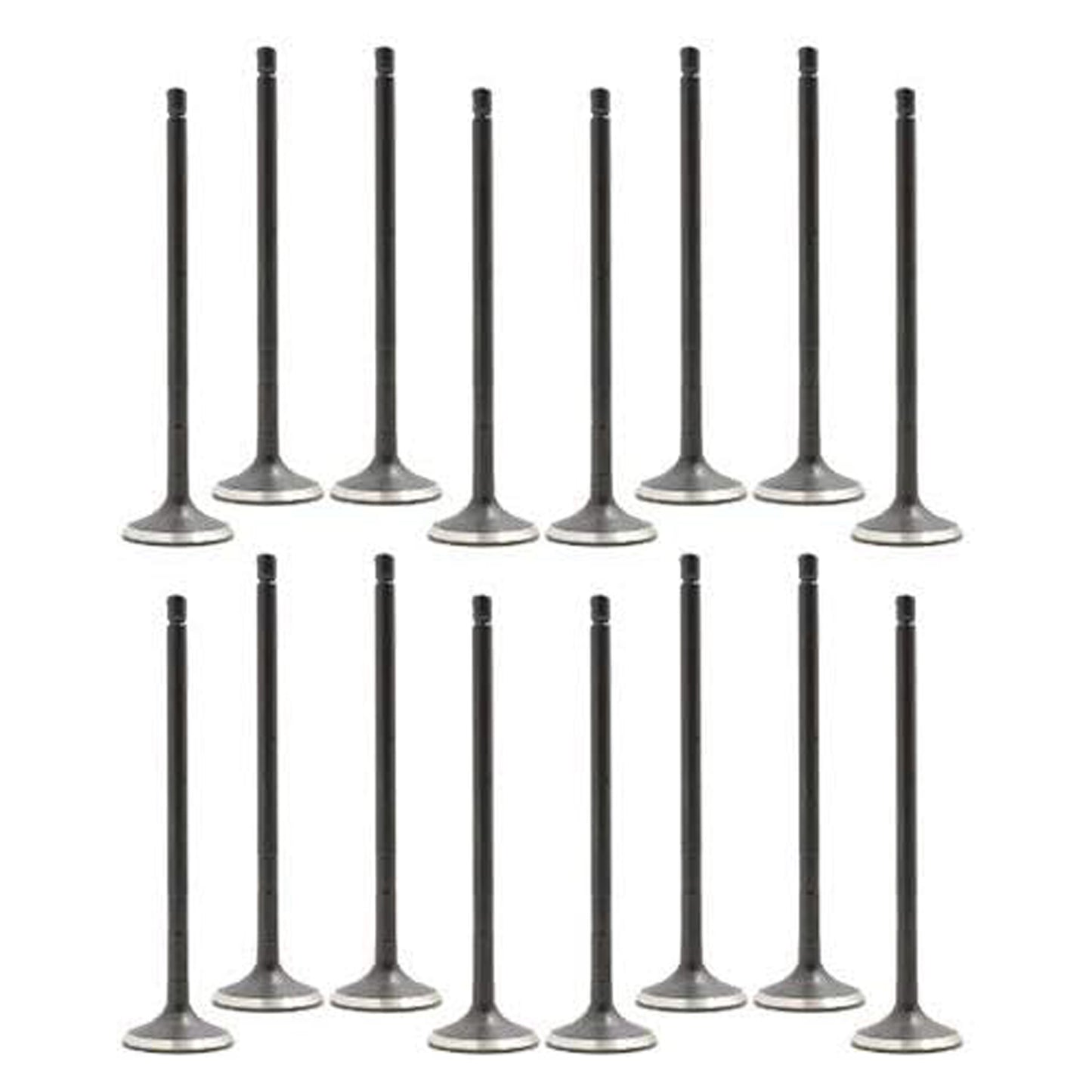 16PCS Exhaust Intake Valve Kit For Scion Toyota L4 1.8L DOHC 2ZR-FE 2008-2015