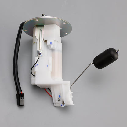 Kawasaki VERSYS-X 300 KLE300 17-20 23 49040-0758 Fuel Pump Assy Replacement