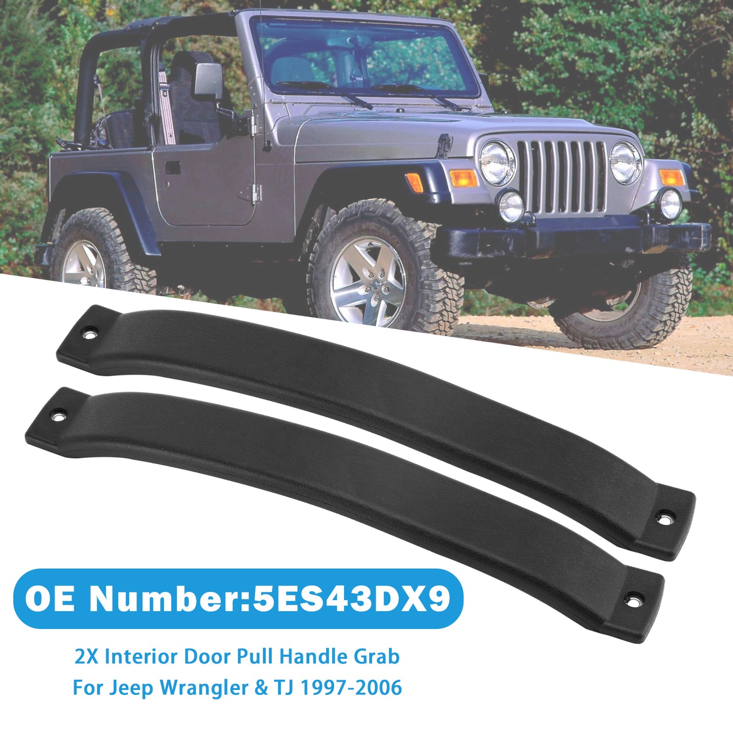 Interior Door Pull Handle Grab 1997-2006 Jeep Wrangler & TJ 5ES43DX9