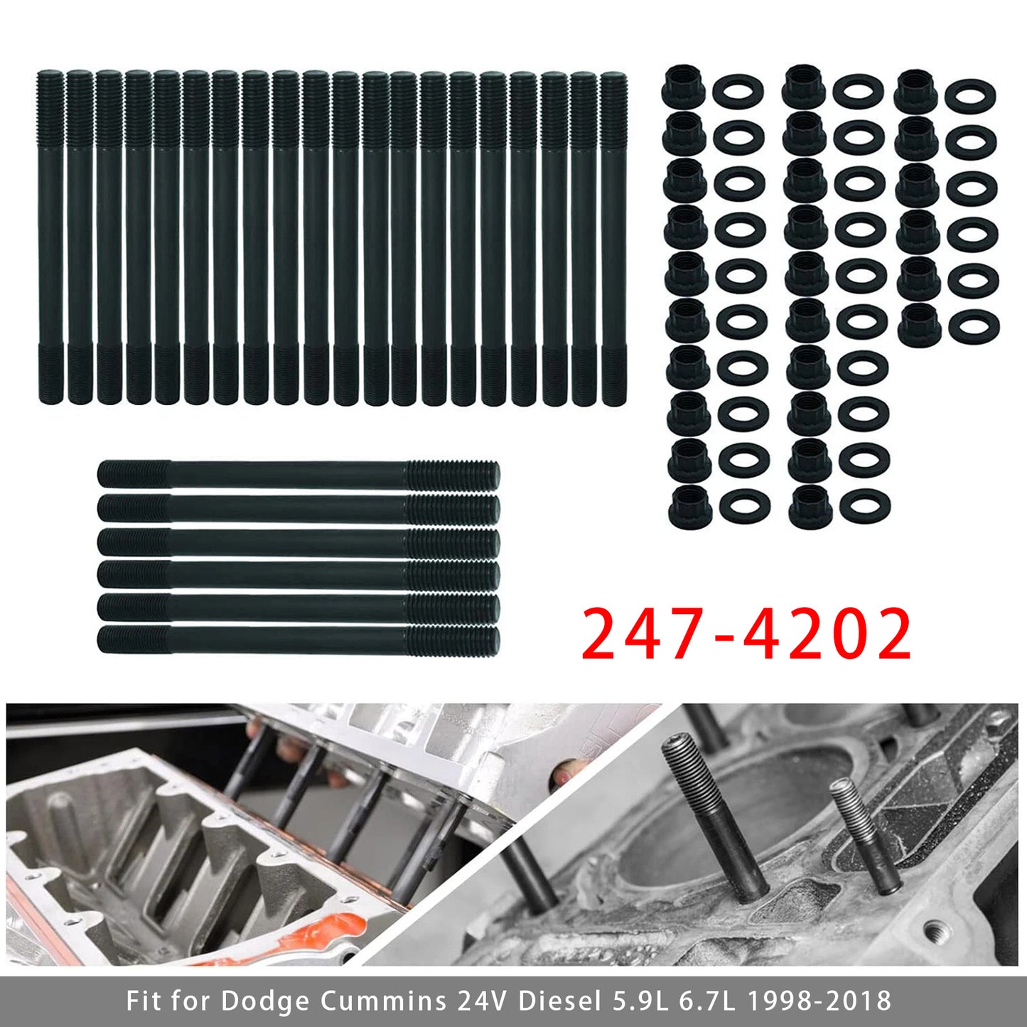 1998-2018 Dodge Cummins 24v Diesel 5.9L 6.7L 247-4202 Cylinder Head Stud Kit