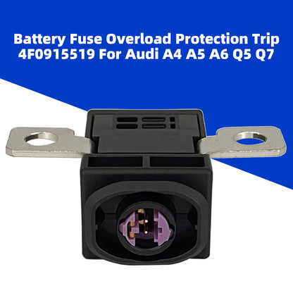 Audi A4 A5 A6 Q5 Q7 4F0915519 Battery Fuse Overload Protection Trip