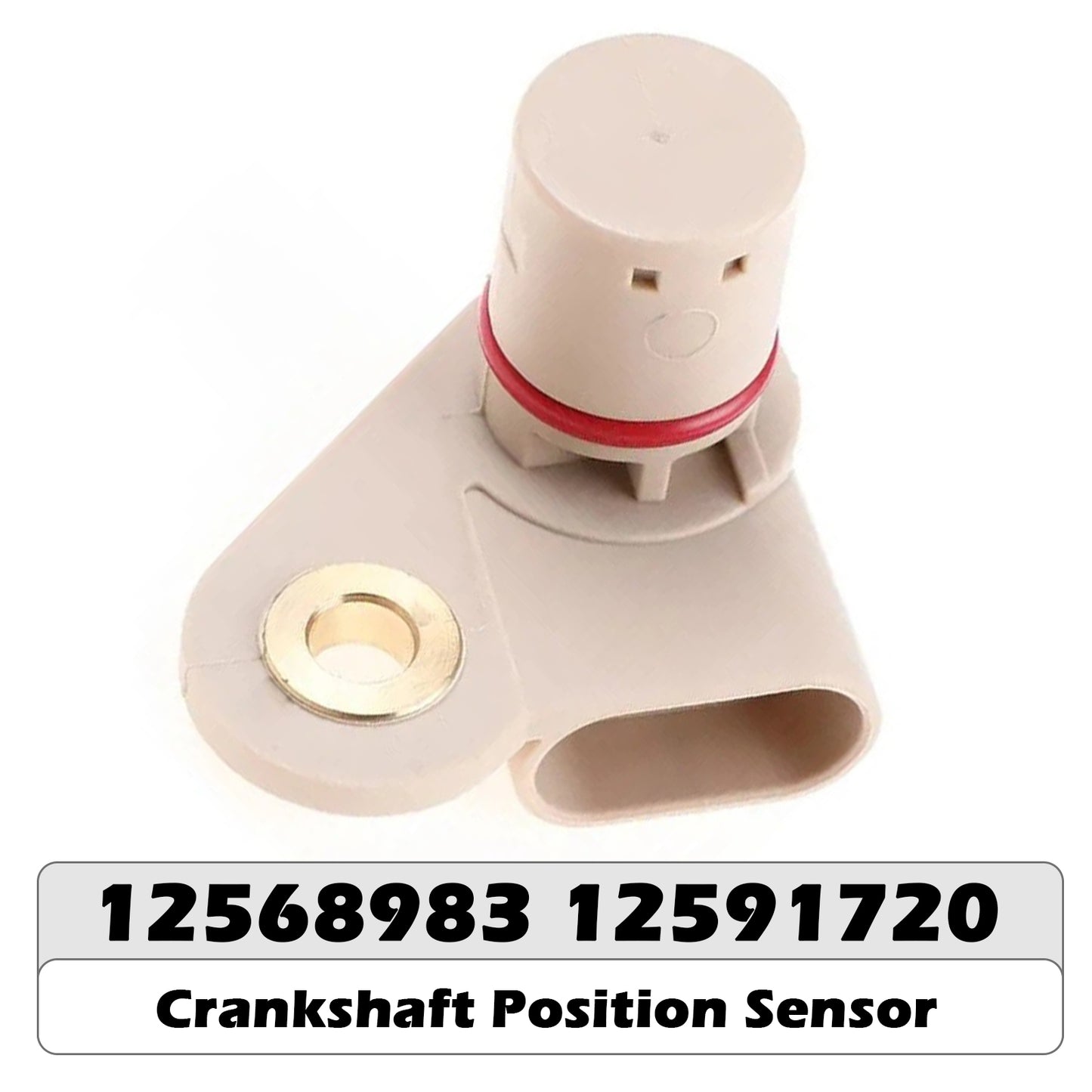 2004-2017 HSV GRANGE WM WN 6.2 LS3 12568983 Camshaft Position Sensor