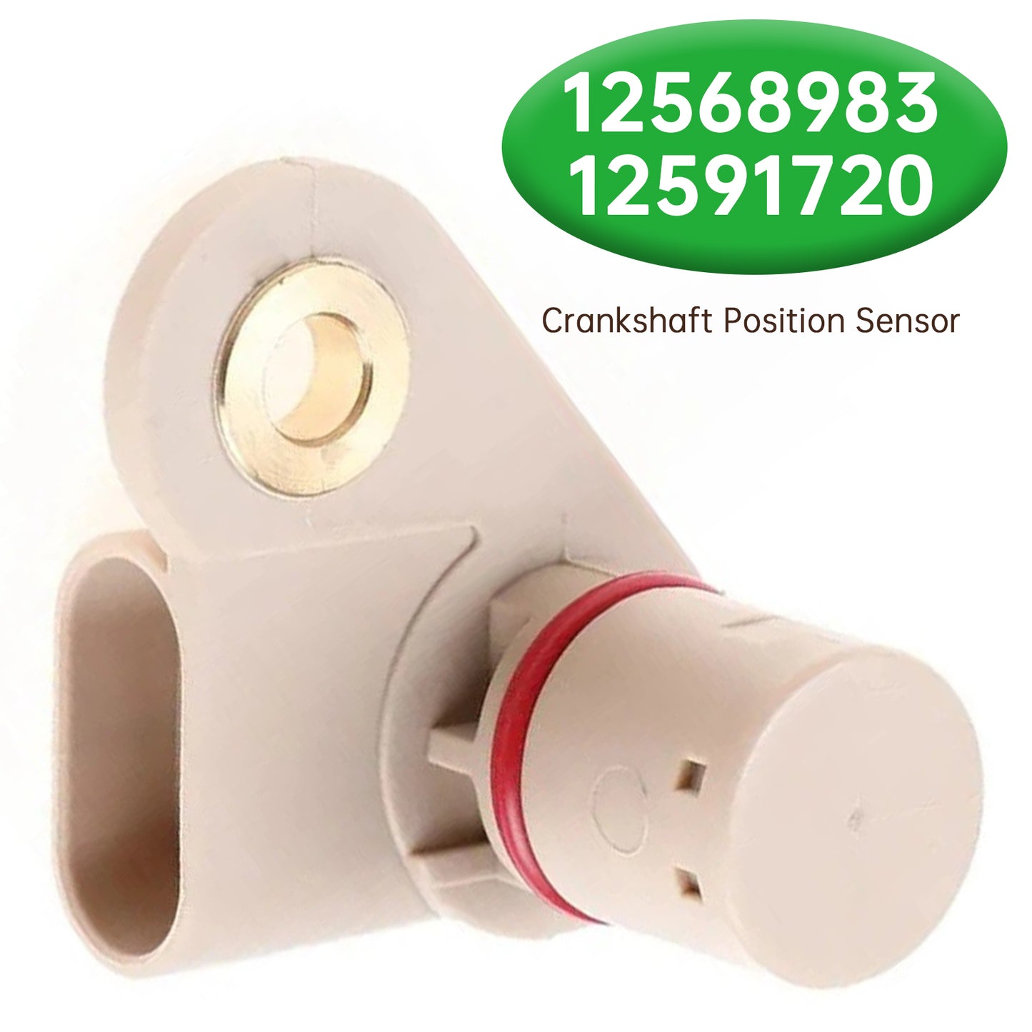 2004-2017 HSV GRANGE WM WN 6.2 LS3 12568983 Camshaft Position Sensor