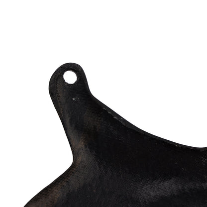2018-2025 Ducati Panigale V4 V4S V4R V2 Real Carbon Fiber Foot Board