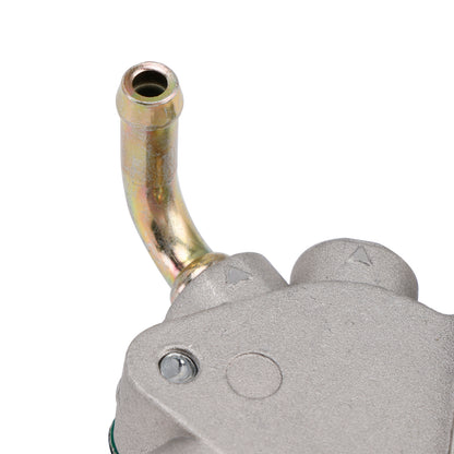 2010 DINLI DL700X A PARTIE DE A240005-00 Fuel Pump Replacement