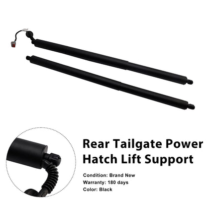 2016-2019 Ford Explorer GB5Z14B351A 2PCS Rear Power Hatch Lift Support