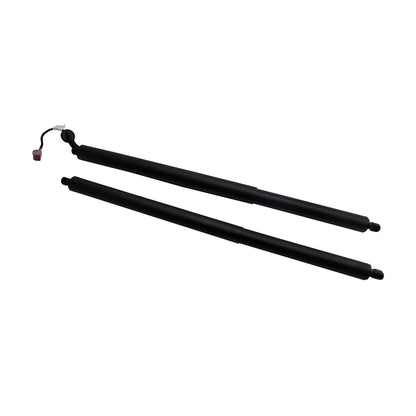 2016-2019 Ford Explorer GB5Z14B351A 2PCS Rear Power Hatch Lift Support