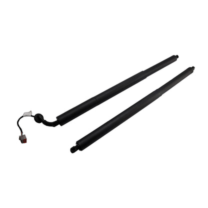 2016-2019 Ford Explorer GB5Z14B351A 2PCS Rear Power Hatch Lift Support