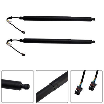 2PCS Rear Tailgate Power Lift Support 2019-2020 Hyundai Santa Fe 81831S1100