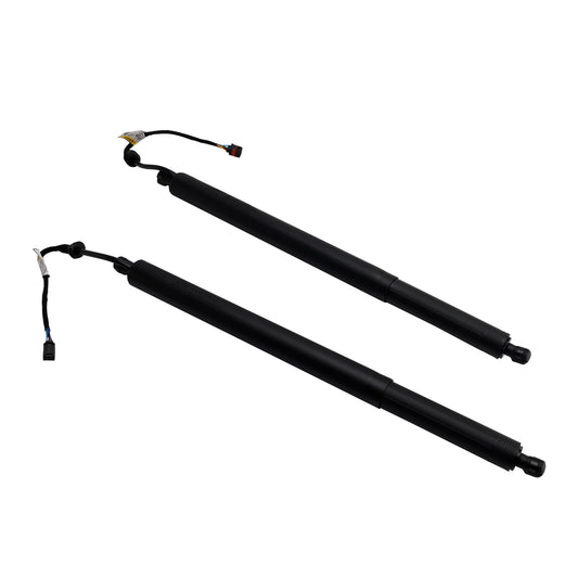 2PCS Rear Tailgate Power Lift Support 2019-2020 Hyundai Santa Fe 81831S1100