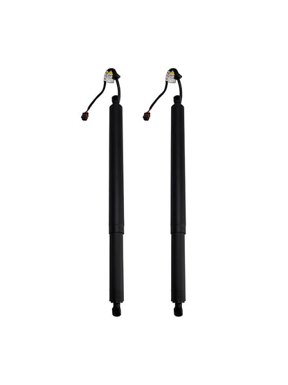 2PCS Rear Tailgate Power Lift Support 2019-2020 Hyundai Santa Fe 81831S1100