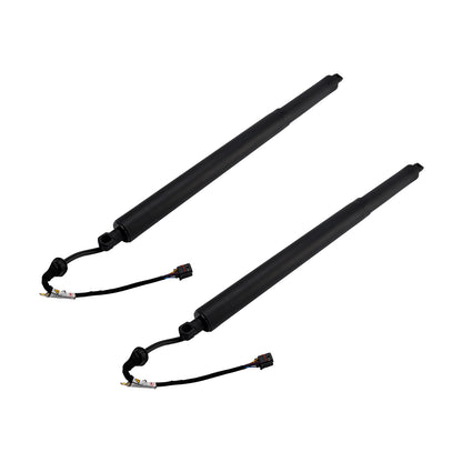 2PCS Rear Tailgate Power Lift Support 2019-2020 Hyundai Santa Fe 81831S1100