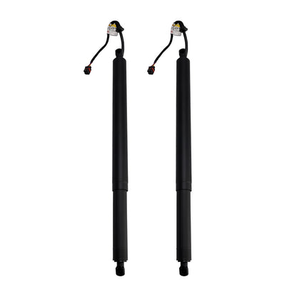 2PCS Rear Tailgate Power Lift Support 2019-2020 Hyundai Santa Fe 81831S1100
