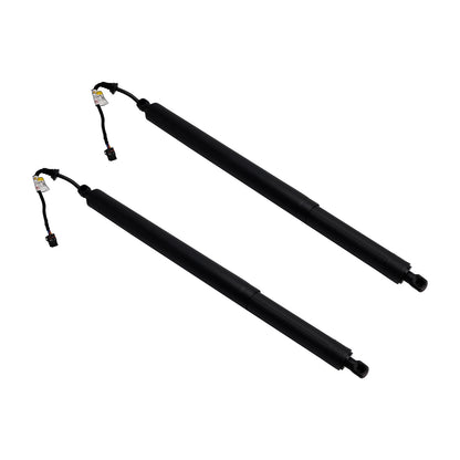 2PCS Rear Tailgate Power Lift Support 2019-2020 Hyundai Santa Fe 81831S1100