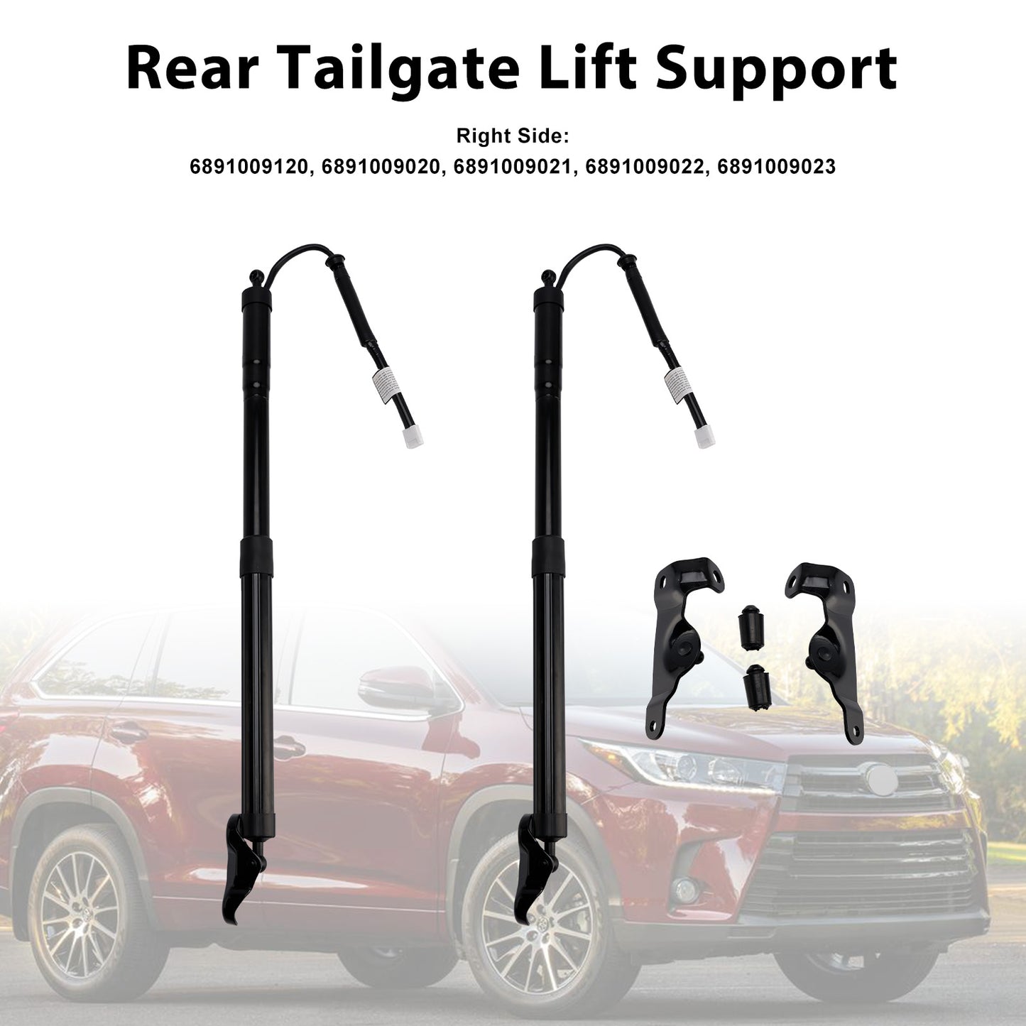 2PCS Tailgate Power Lift Support 2014-2019 Toyota Highlander 6891009120