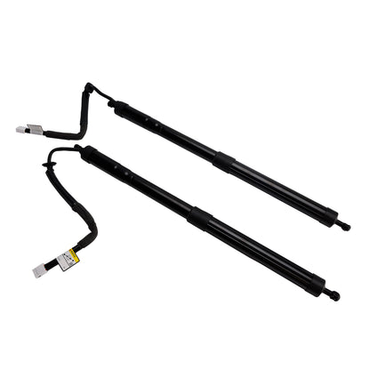 2018-2022 Lexus RX350L RX450hL 6892048061 2PCS Rear Power Hatch Lift Support