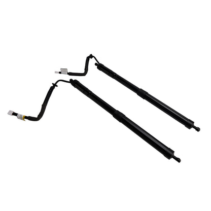 2018-2022 Lexus RX350L RX450hL 6892048061 2PCS Rear Power Hatch Lift Support