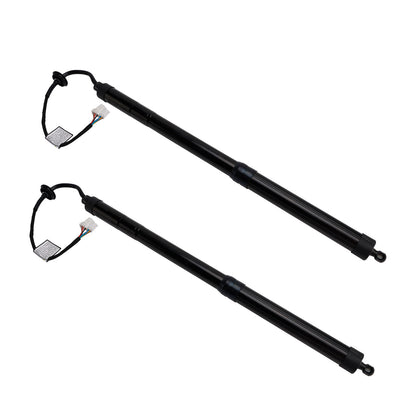 Infiniti EX35 FX35 FX50 QX70 905603FY0A 2PCS Rear Electric Tailgate Strut