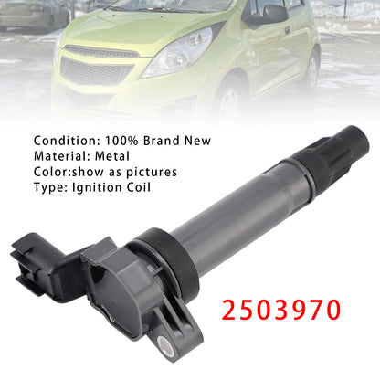 2010-2015 Chevrolet Spark 2503970 Ignition Coil