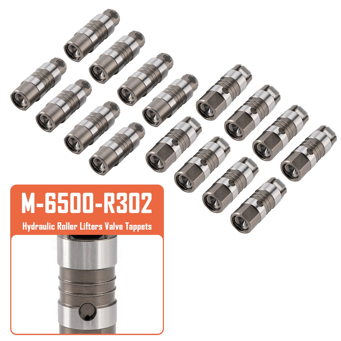 Hydraulic Roller Lifters Valve Tappets for Ford Mustang 5.0 302 M-6500-R302