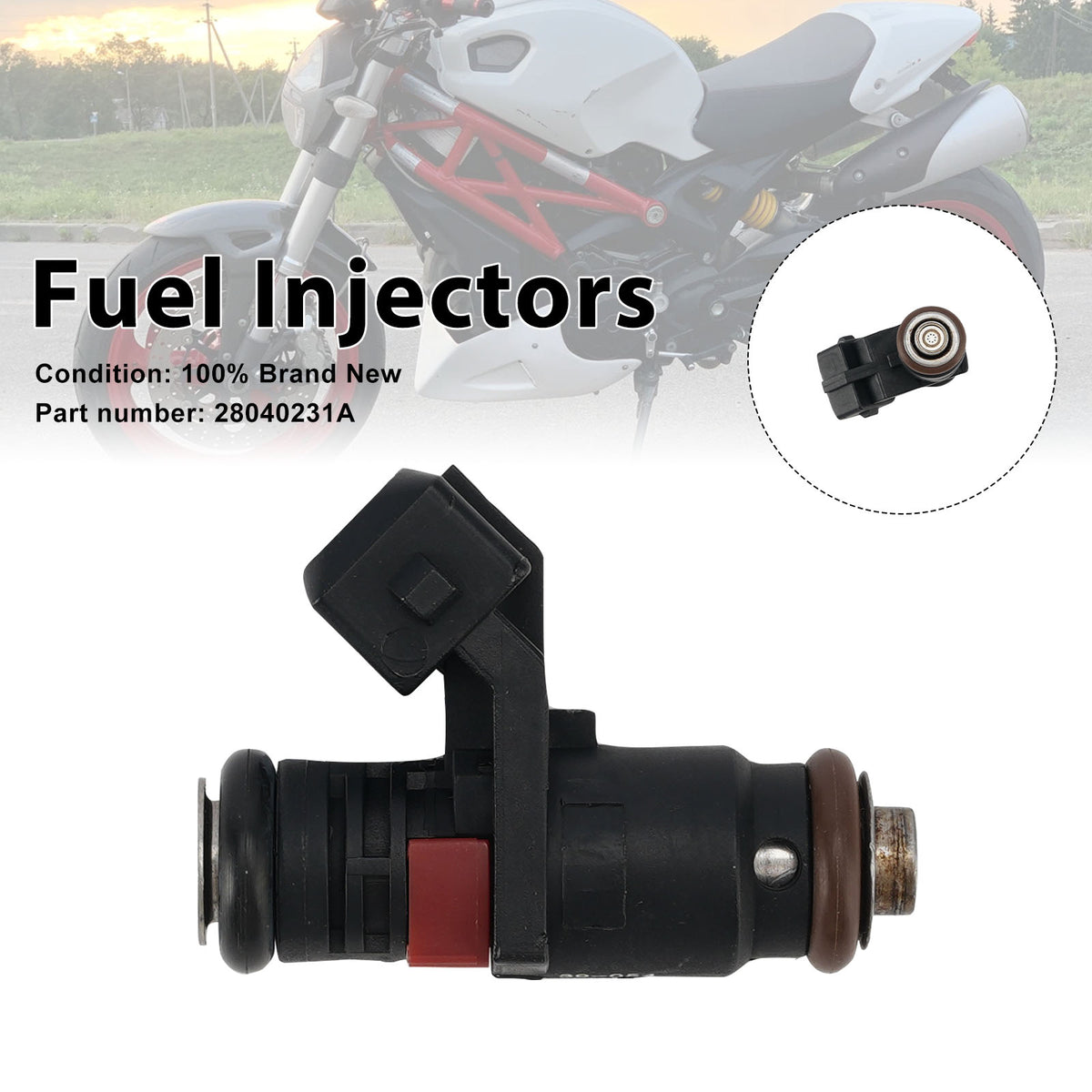 Ducati Monster 795 2012 Fuel Injectors 28040231A