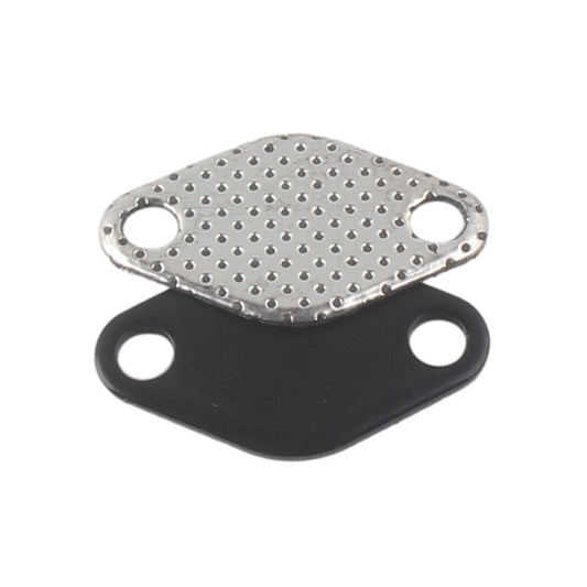 BMW E46 318d 320d 330d 330xd 320cd 318td 320td EGR Valve Blind Plate