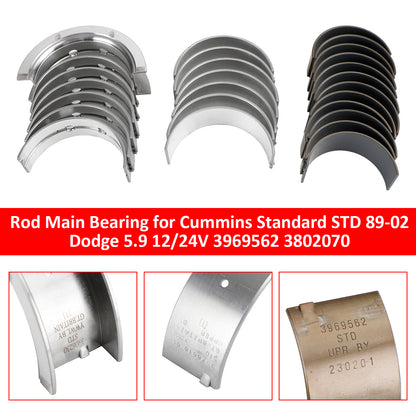 89-02 Dodge 5.9 12/24V Cummins Standard STD 3969562 3802070 Rod Main Bearing