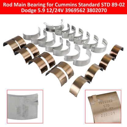 89-02 Dodge 5.9 12/24V Cummins Standard STD 3969562 3802070 Rod Main Bearing