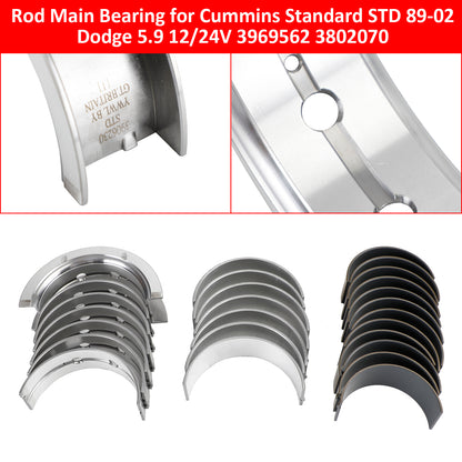89-02 Dodge 5.9 12/24V Cummins Standard STD 3969562 3802070 Rod Main Bearing