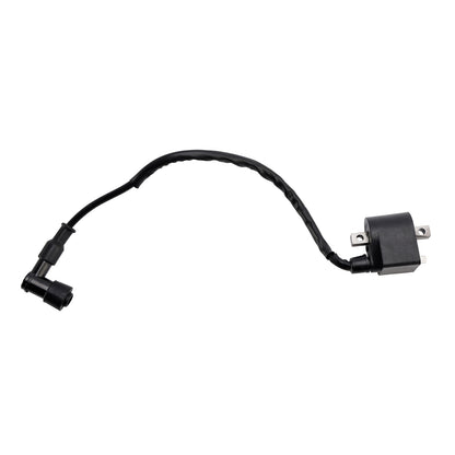CDI BOX Igniter fit for Suzuki TS50 TS50X 1991/1993-1995 LT50 1990/1999-2005