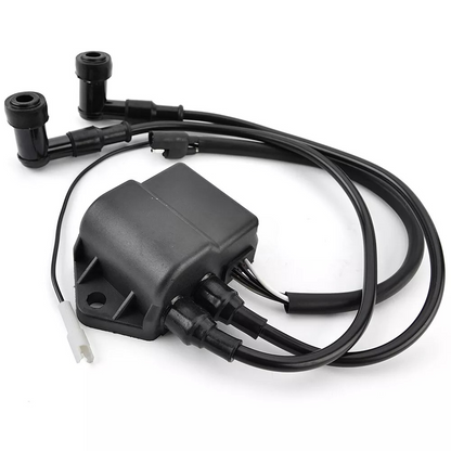 Polaris 340 Edge 400 SKS 600 EURO Lite NOR 400 #3083601 3083723 CDI BOX Igniter