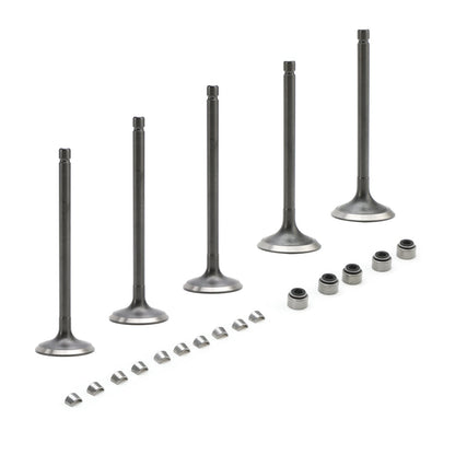 2001-2005 Yamaha YFM660R Raptor #3YF-12121-00 3YF-12111-00 Head Intake & Exhaust Valves Seals Kit