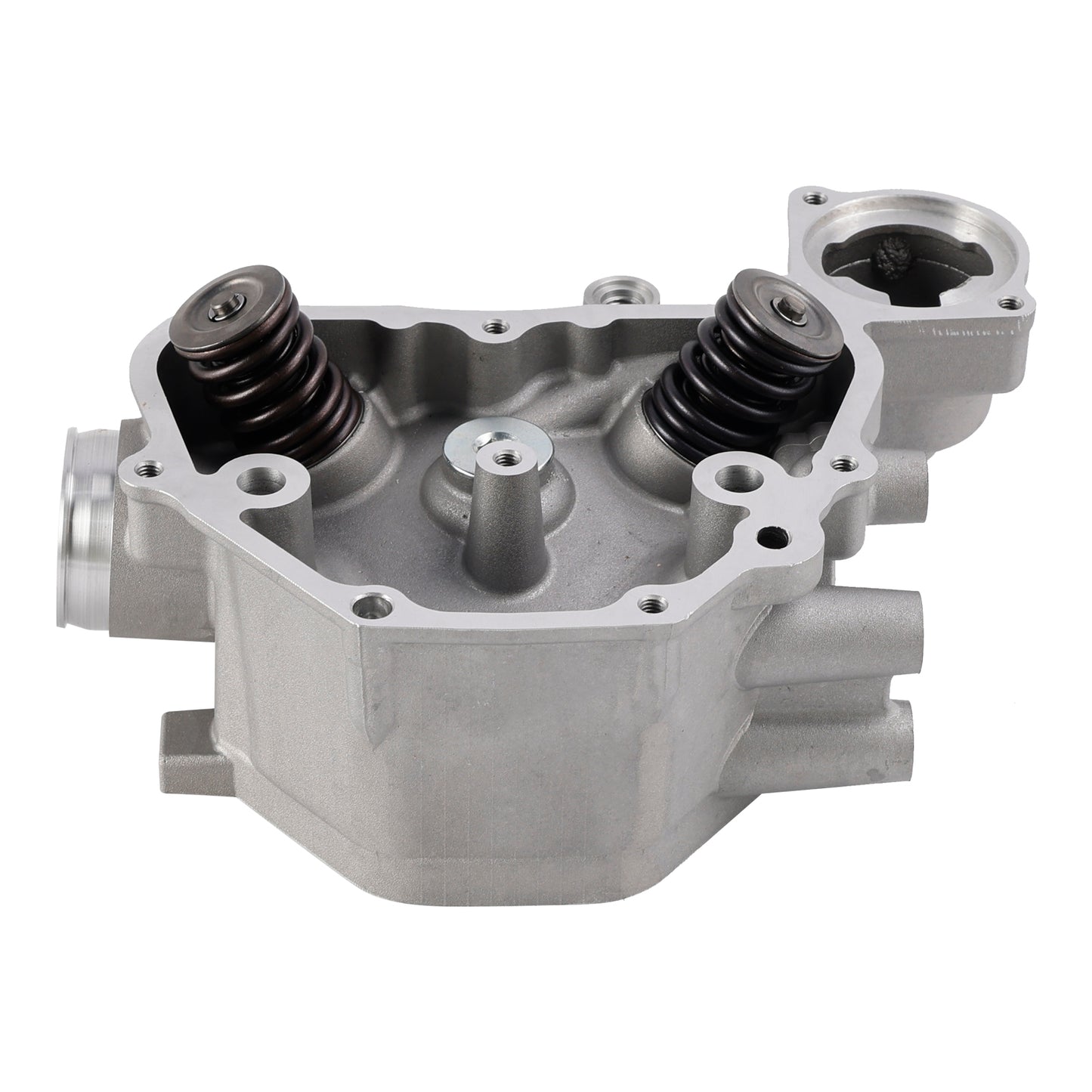 2009-2024 Honda TRX420 TRX500 SXS500 Cylinder Head Valves Kit 12200-HP7-A01