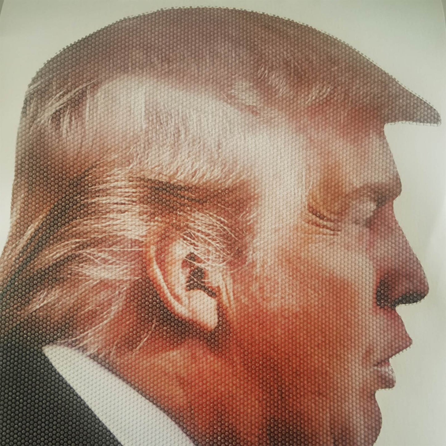 2020 Trump Presidential Election Car Window Sticker Passenger Side Person Right