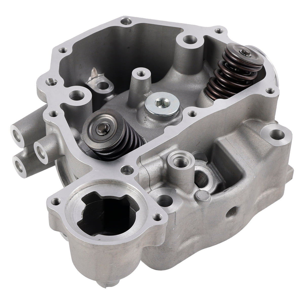 Cylinder Head Valves Kit For Honda Pioneer 500 SXS500 2015-2023 12200-HP7-A01