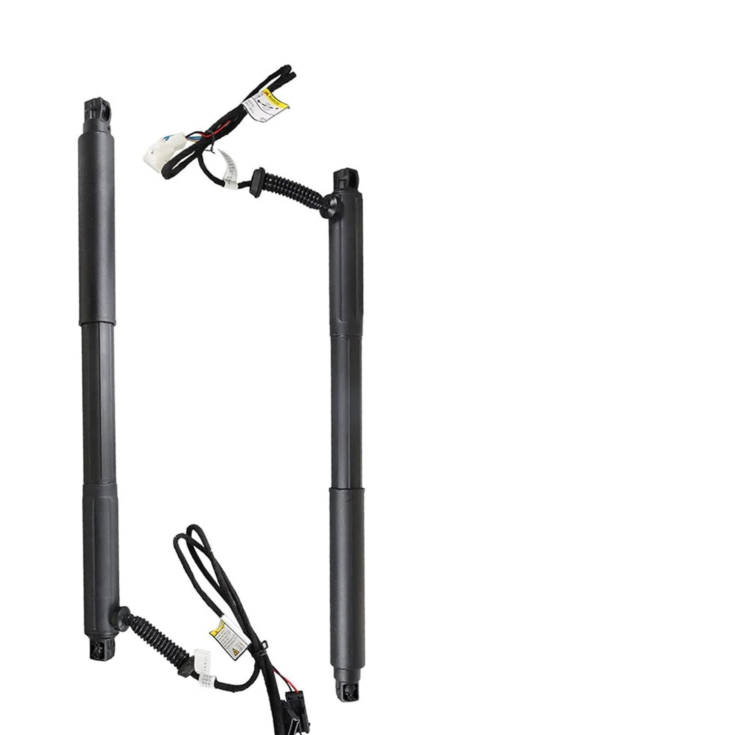 BMW E70 X5 Sport Utility 51244887651 2pcs Hatch Lift Support Shock Strut Rear Tailgate