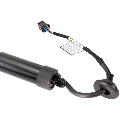2019 2020 Volvo XC40 2x Rear Left &Right Tailgate Power Lift Supports Struts