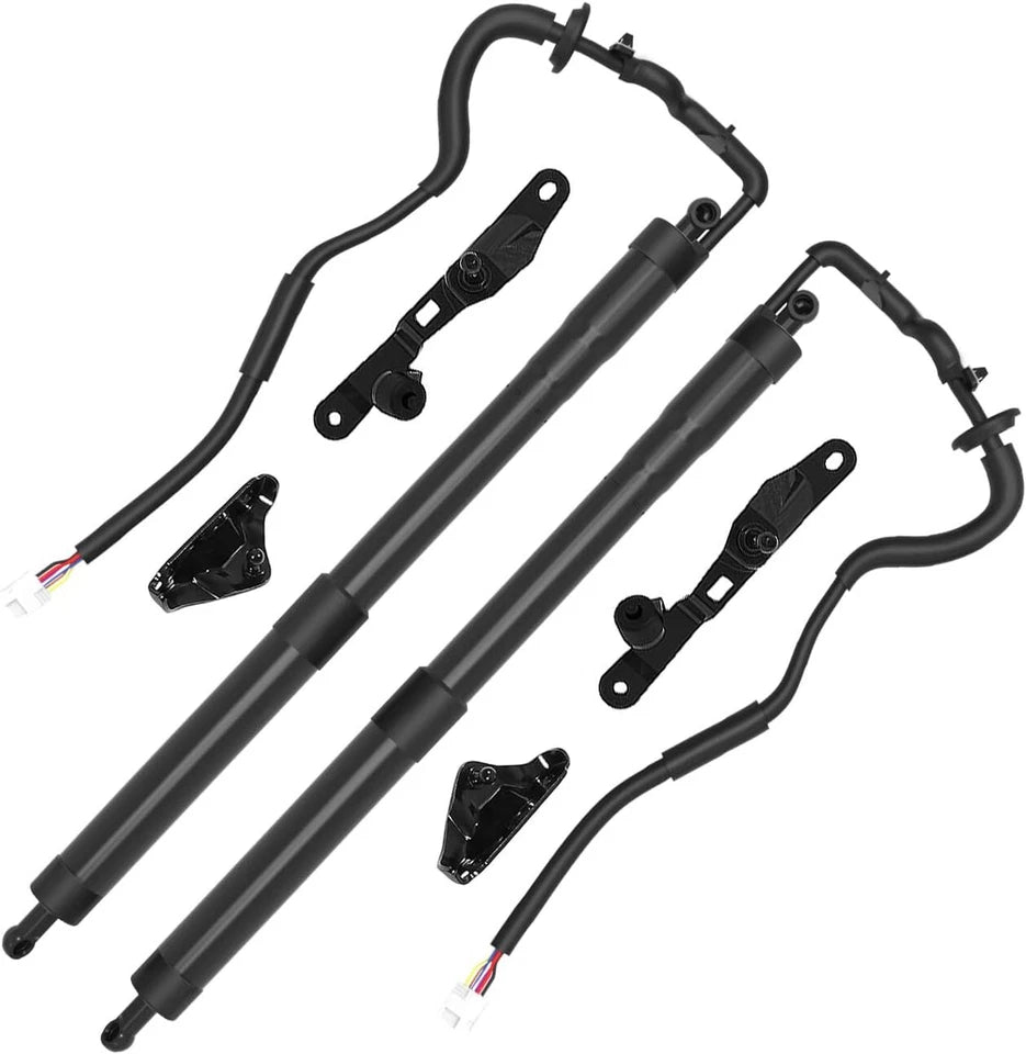 2015 Toyota RAV4 6891009012 2Pcs Rear Tailgate Power Lift Support Shock Strut Electric